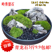 ɽѡ쾰Ʒʯ1 辰΢СӢʯ