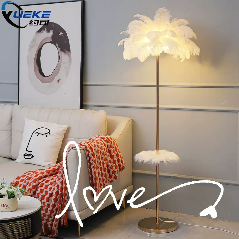 羽毛落地灯客厅卧室轻奢网红鸵鸟ins直播间装饰氛围台灯北欧个性
