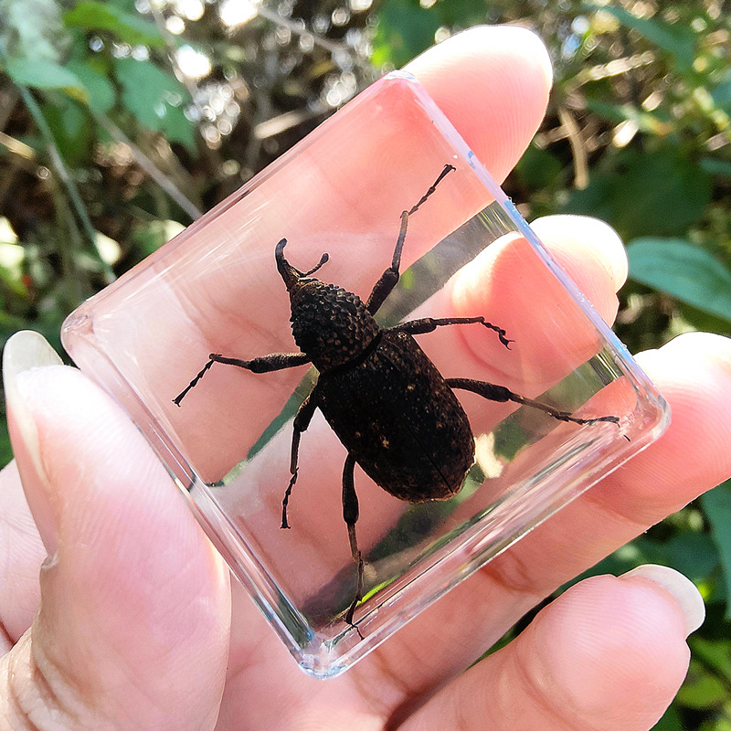 네이비 블루 그레이 코끼리 갑옷