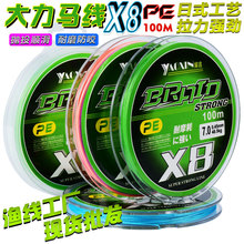 �O�����l100��8��pe��������~����ĥ΢��·�����͌����~���羳