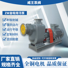 ��Ѵ��܇����ˮ��܇���͙C�ã����͙C�����ã�XBC200-250-40����