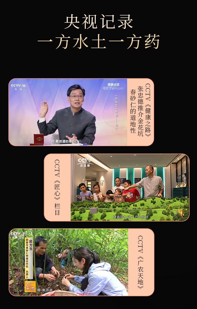 Chun Sha Ren Amomum Fruit 42g Yangchun Panlong Jinhua Keng Dao Di Sha Ren Traditional Herbal Gift specifications