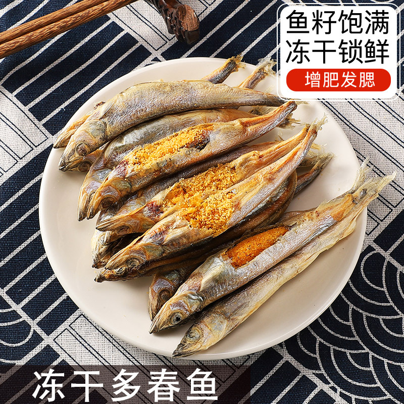 Pescado de primavera lleno de semillas Aperitivos para gatos liofilizados Aperitivos para gatos