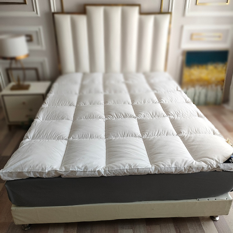 Mattress Tatami 10cm Pad Feather Velvet Mattress for Rental Home Use, Customizable Size, Double Bed, Thin Model, Ideal for Rental