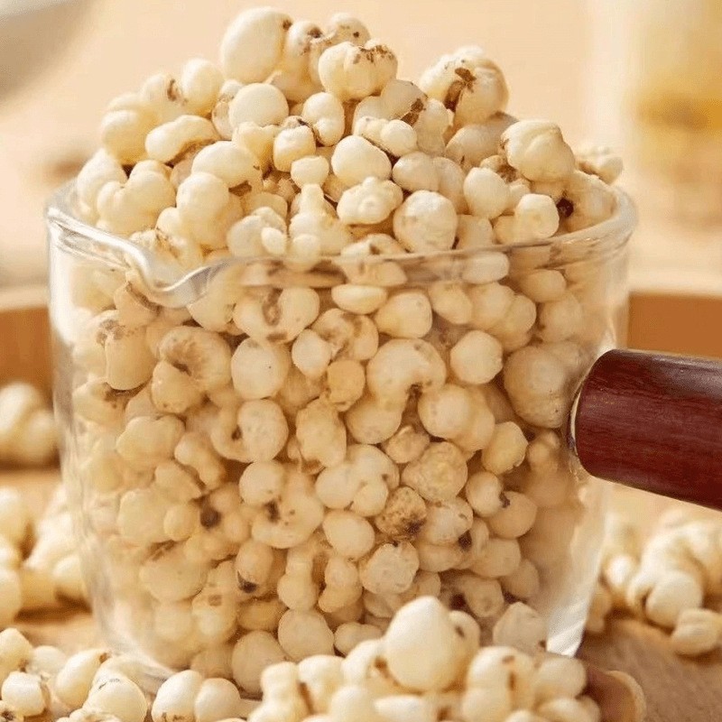 Puffed Coix Seed Snack Yi Yi Ren 100g Bag Light Crunchy Roasted Barley Bites in use