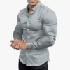 CS02-Gray