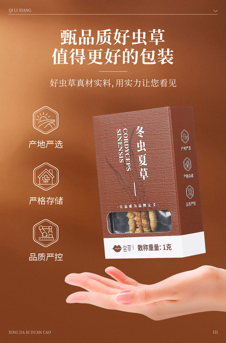 Dried Cordyceps Sinensis Broken Stems 1g Box Wild Harvested Tibetan Plateau Cordyceps for Traditional Soup and Decoction specifications