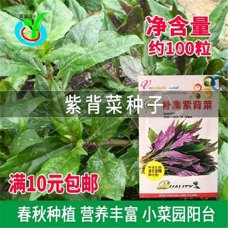 Семена овощей Golden Farm с фиолетовой спинкой, овощи с кровяными венами, овощи с красным ветром, семена овощей Гуаньинь, теневыносливые, легко выращиваются и устойчивы к неблагоприятным условиям.