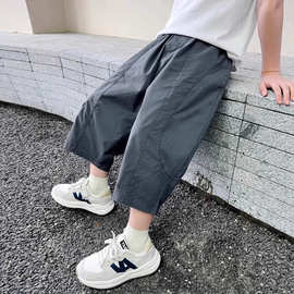 男童夏款裤子2025新款夏季薄款中大童男孩酷帅防蚊七分休闲裤潮