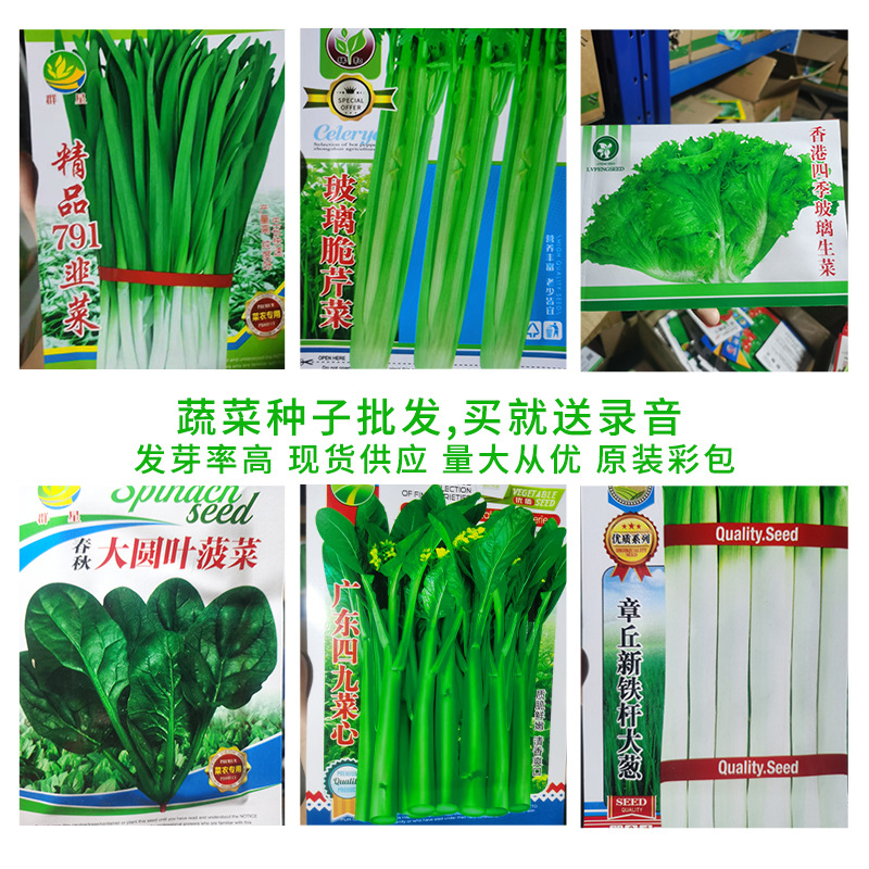 厂家供应批发春季蔬菜盆栽菜种菜籽阳台菜园四季种植地摊蔬菜种