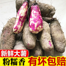 紫薯新鲜山药现挖大薯紫山药产地紫脚板薯毛薯新鲜蔬菜紫玉淮山