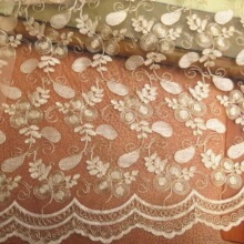 ܇���ٽz��߅ �̽��M����ƥ �𾀽�Ǵ̽��W��