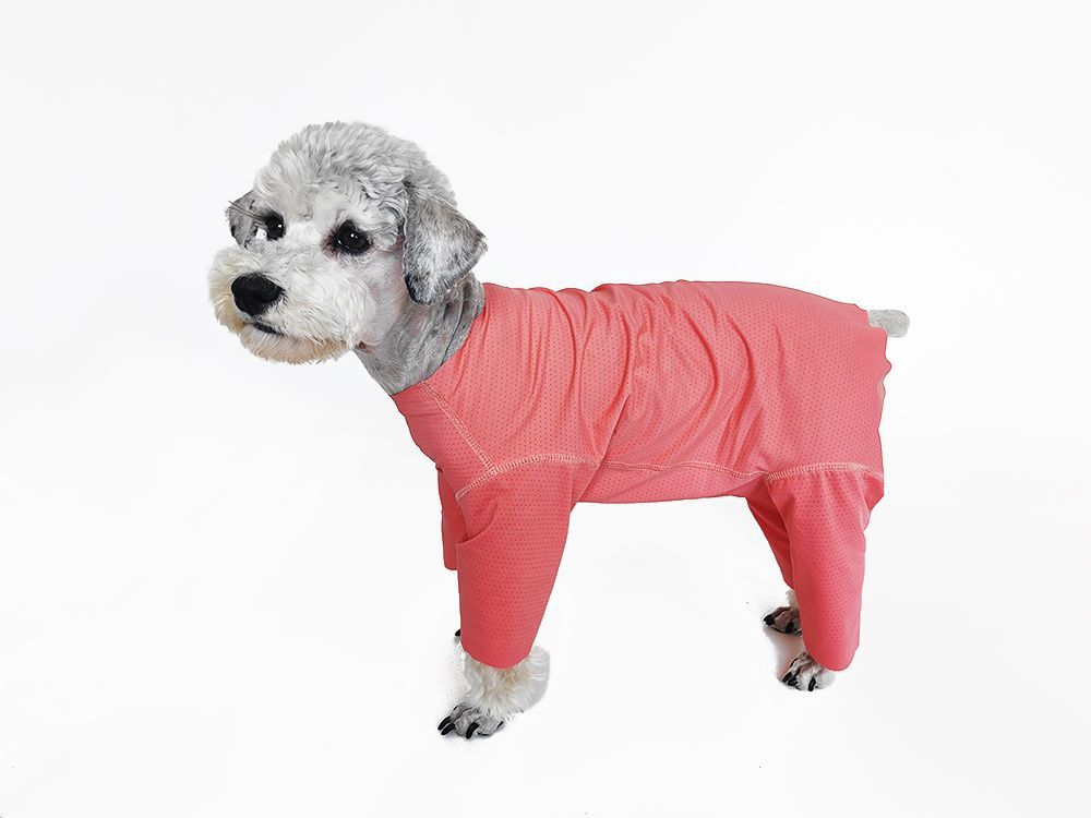 Svalkande hundklänning för bichon solskydd och insektskydd_voghion.com