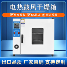 電熱恆溫鼓風干燥箱實驗室小型烘箱食品烘干機工業中葯材大燈烤箱