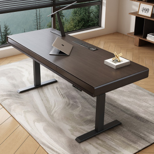 Smart Electric Lifting Desk Italian Minimalist Modern Simple Dual Motor Study Solid Wood Computer Work Desk