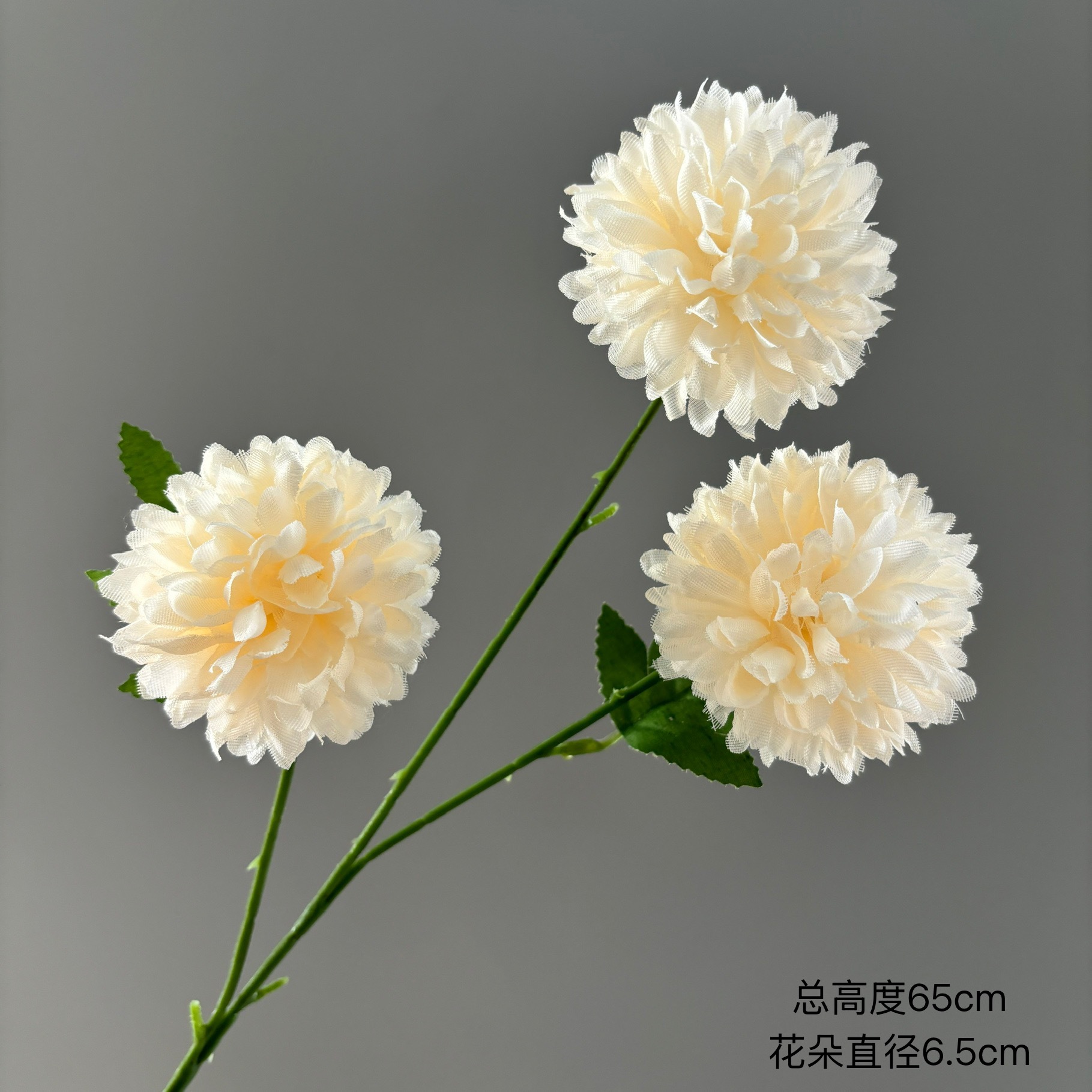 국화 3송이