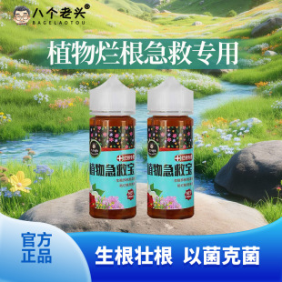 �˂����^��������ˮ���θ�������������ֲ�ﻨ�ܾGֲ����ͨ����