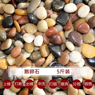 2.5kg Pebbles, Rain Stones, Small Stones, Fish Tanks, Flower Pots, Succulent Decorative Potted Plants, Colorful Stones