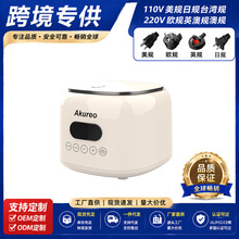 Amazon跨境电饭煲智能110v电锅滤篮多功能电饭锅出口台湾美国日本