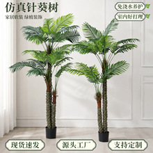 高仿真针葵树大型落地盆栽室内商场展厅造景工程软装手感叶椰子树