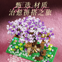 ͯ΢weľݘ߉ûֳǱeľyƴb