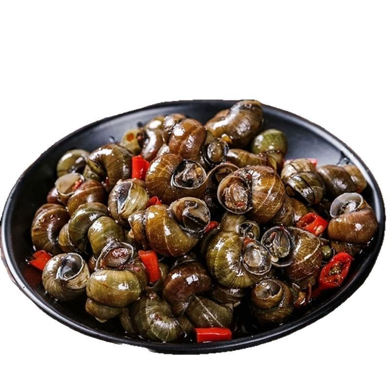 Острая улитка со вкусом перца, крупная упаковка улиток, ароматизированные улитки, интернет-знаменитость, коммерческий товар, полуфабрикат, оптовая продажа