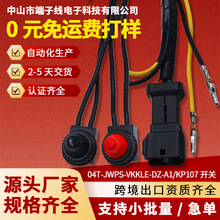 04T-JWPS-VKKLE-DZ-A1/KP-107��ˮ������ť ���������߶�������