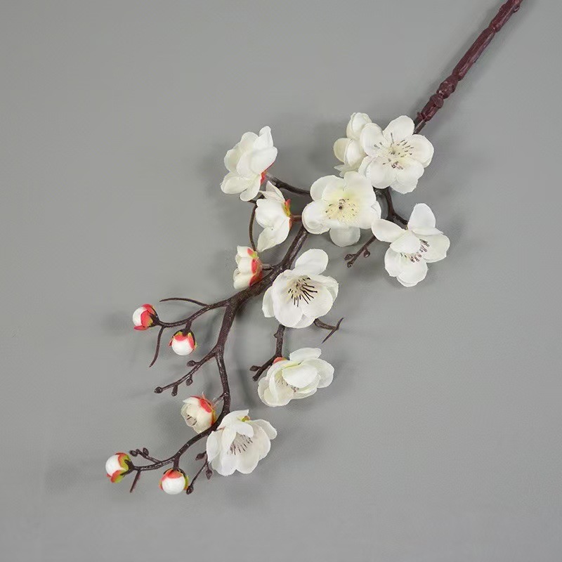 중간 가지 매화 흰색