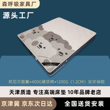 ���Ǽ��Ƶ�ϯ��˼���|�o���h�����o���Ჴ���A��ܛӲ�m��22CM��|