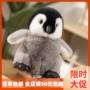 赛特安抚跨境可爱布娃娃