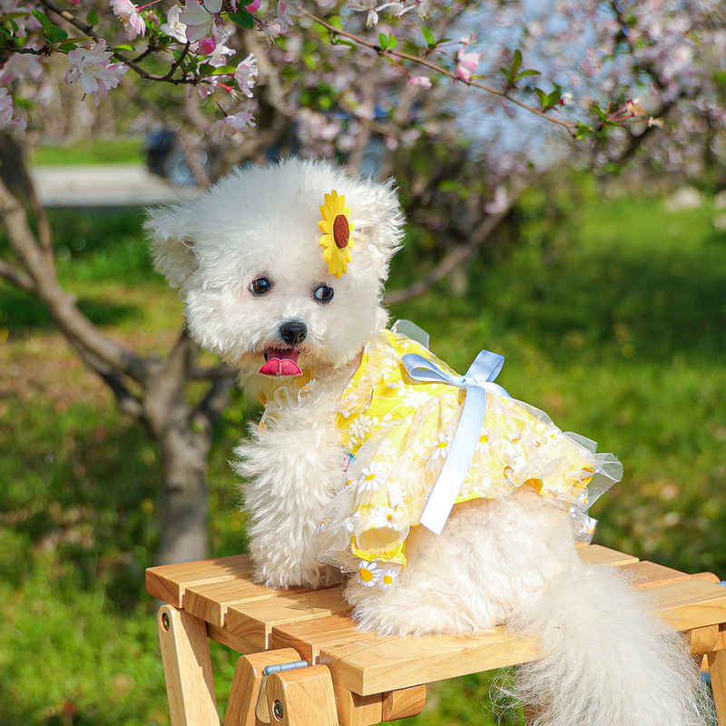 スポットクロスボーダー人気ペット子犬猫服ソース工場直販春夏デイジーフラワーサスペンダースカート|undefined