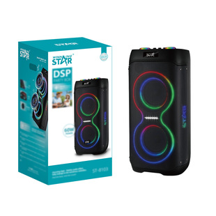 WINNINGSTAR�羳��y�������DSP�ە�9D�o���{���������L����