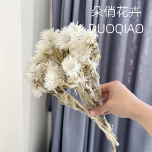 ��ʯ��������ʯ���ɻ��hѩɏ�ɻ�ܛ�b��廨�yѩ����c��������