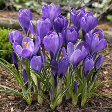 ���ڲؼt���N���ͺ����t����N�Ӳؼt�������ԷNŮ���ﶬ�_�����