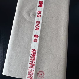 画纸、画布;宣纸