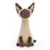 Siamese cat