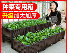 种菜家庭阳台长方形塑料家用蔬菜种植箱花盆楼顶花箱