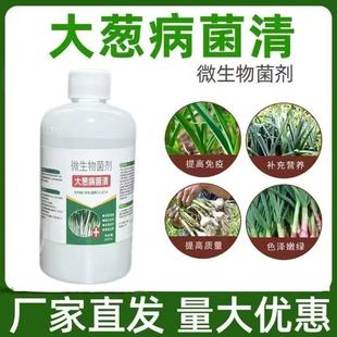 Specialized Fungicide for Green Onion Diseases, Specifically for Downy Mildew and Dry Tip, Non-Chemical Treatment