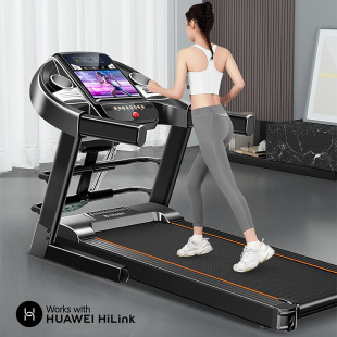 Electric Treadmill Household Small Silent Gym Special Family Folding Walking Machine Indoor Exercise Equipment