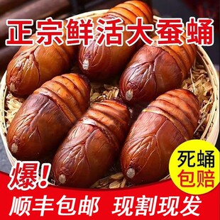 ��S���]�|���خa���QӼ���r���Ӽ����S�QӼ�|�����OӼ�sӼ500g