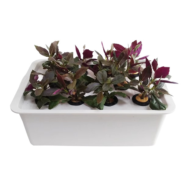 Comprador afortunado equipo de cultivo sin suelo caja de vegetales máquina de plantación de vegetales caja hidropónica cultivo sin suelo caja de plantación hidropónica de 24 hoyos