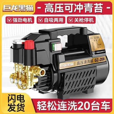 Cat Pressure Washer 220V Car washing machine