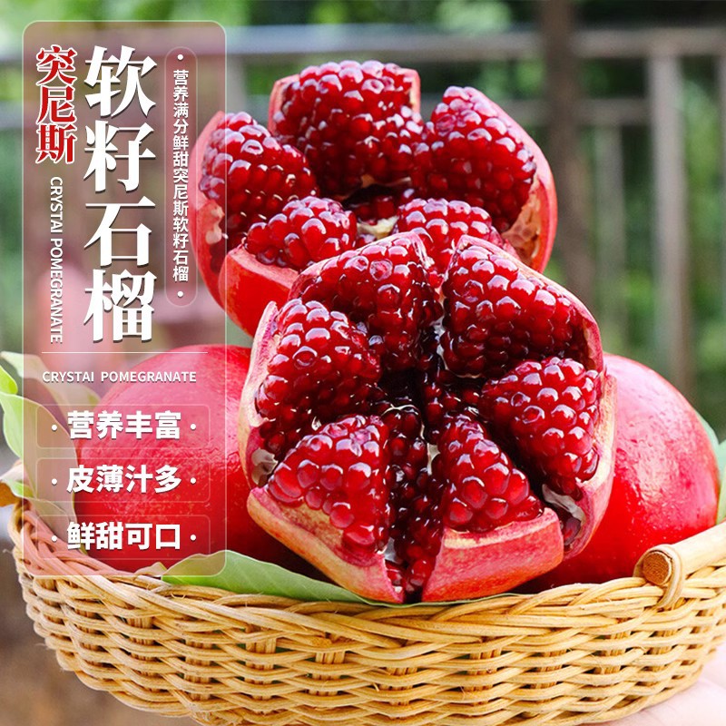 [정품] 튀니지산 부드러운 종자 석류 40-60cm 높이 2그루 (생명 보장 없음)