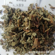 中草药 仙鹤草 安国厂家批发琮合格证质检发票，量大优惠欢迎代理
