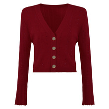 Ʒ�|�F؛2025�괺���¿�ᘿ����L��V�I���¾W�t�_��ë����������