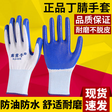 �ڱ��������l�����������׽��z���z�����zƤ�������̈́ڄӹ��ظɻ�