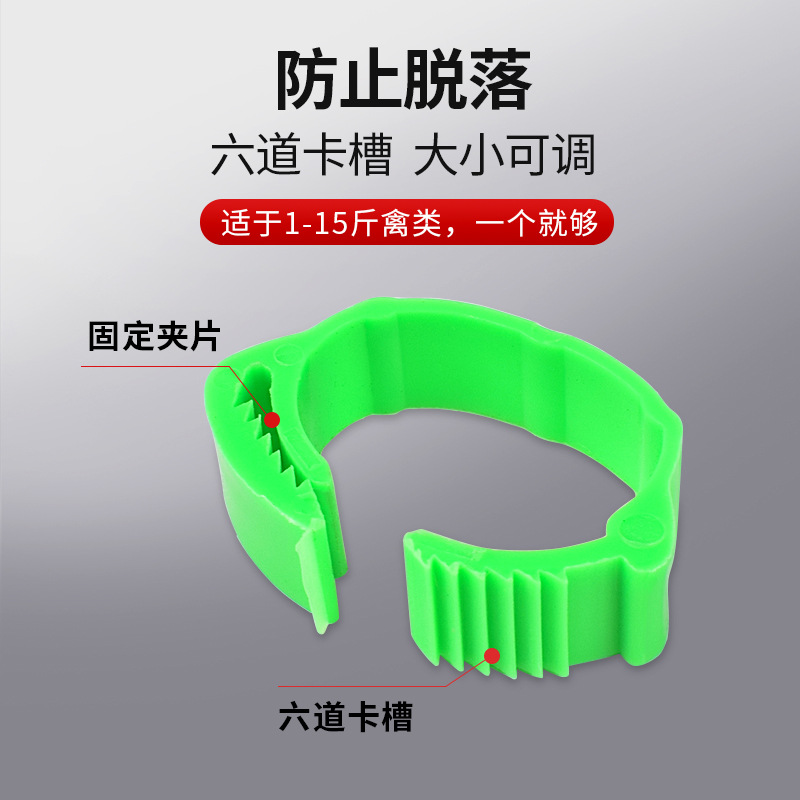 Anillo de pie de pollo tipo fichaje, anillo de pie ajustable, marca de identificación, anillo de etiqueta de plástico general para pollo
