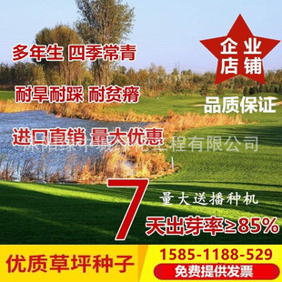 ��ƺ�N���ļ����o�²��ѹ���������������̸���é�G����Ƥ�ݷN