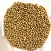 Seven-star fish feed 1 catties