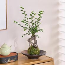 �ܘ�̦�\��Gֲ�����҃Ȳ����k���������ļ����B������՚�С����